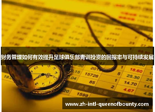 财务管理如何有效提升足球俱乐部青训投资的回报率与可持续发展 财务管理如何有效提升足球俱乐部青训投资的回报率与可持续发展