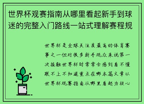 世界杯观赛指南从哪里看起新手到球迷的完整入门路线一站式理解赛程规则看点 世界杯观赛指南从哪里看起新手到球迷的完整入门路线一站式理解赛程规则看点